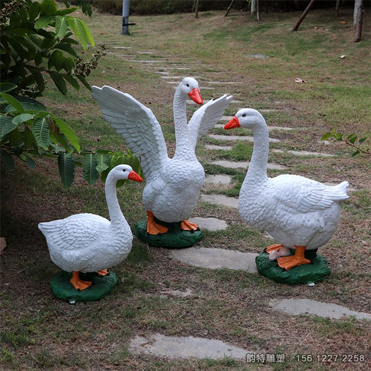 b_133799202008241125245943 b_133799202008241125245943